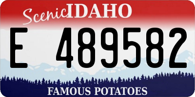 ID license plate E489582