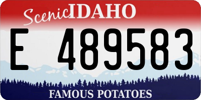 ID license plate E489583