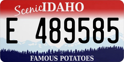 ID license plate E489585