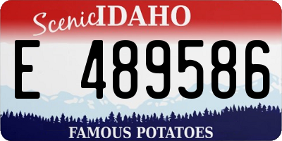 ID license plate E489586