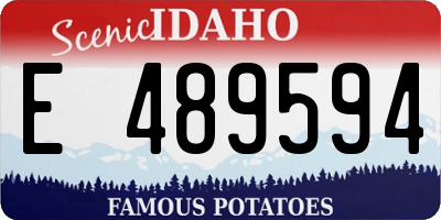 ID license plate E489594