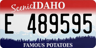 ID license plate E489595