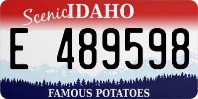 ID license plate E489598