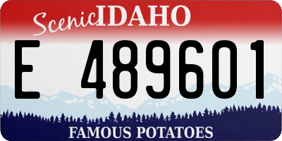 ID license plate E489601