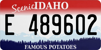 ID license plate E489602