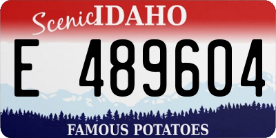 ID license plate E489604