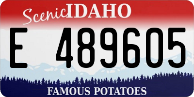 ID license plate E489605
