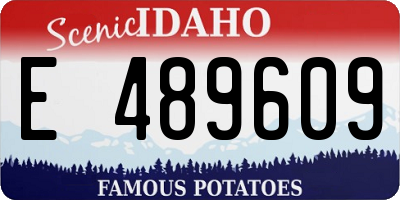 ID license plate E489609