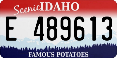 ID license plate E489613
