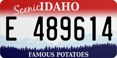 ID license plate E489614