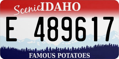 ID license plate E489617
