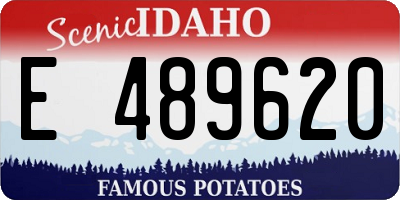 ID license plate E489620