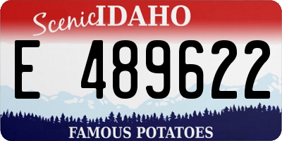 ID license plate E489622