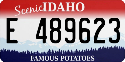 ID license plate E489623