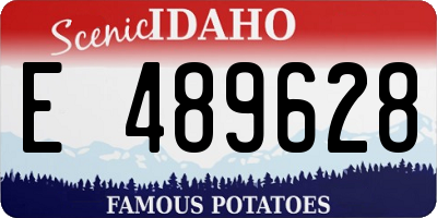 ID license plate E489628