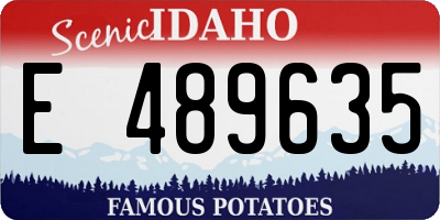 ID license plate E489635