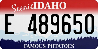 ID license plate E489650
