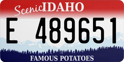 ID license plate E489651