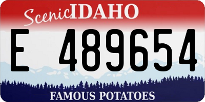 ID license plate E489654