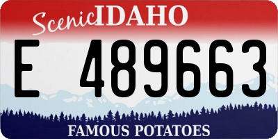 ID license plate E489663