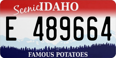 ID license plate E489664