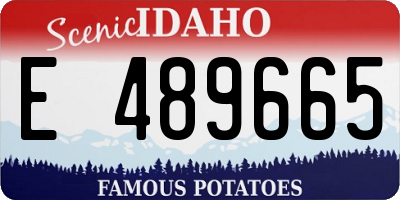 ID license plate E489665