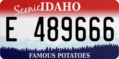 ID license plate E489666
