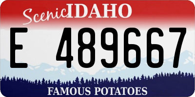 ID license plate E489667