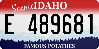 ID license plate E489681