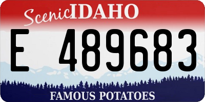 ID license plate E489683