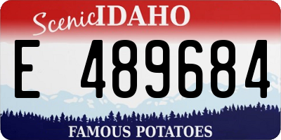 ID license plate E489684