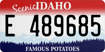 ID license plate E489685