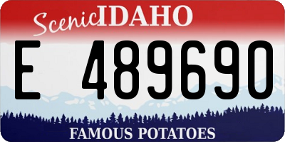 ID license plate E489690