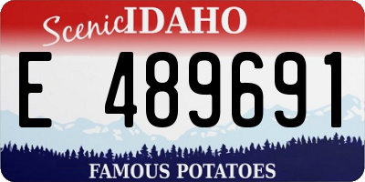 ID license plate E489691