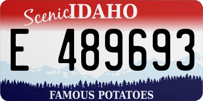 ID license plate E489693
