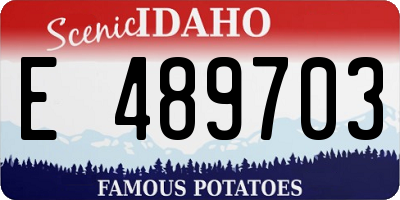 ID license plate E489703