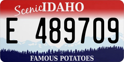 ID license plate E489709