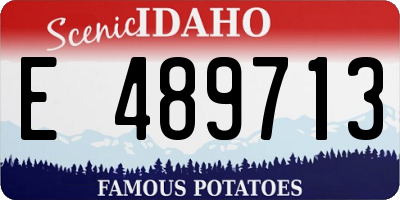 ID license plate E489713