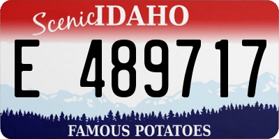 ID license plate E489717