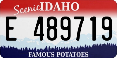 ID license plate E489719