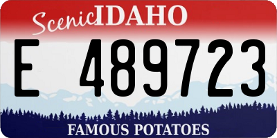 ID license plate E489723