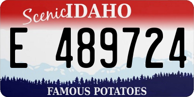 ID license plate E489724