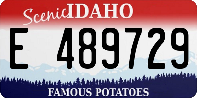 ID license plate E489729