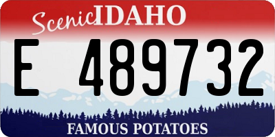 ID license plate E489732