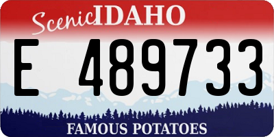 ID license plate E489733