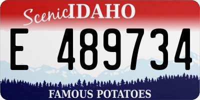 ID license plate E489734