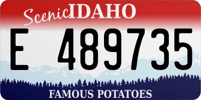 ID license plate E489735