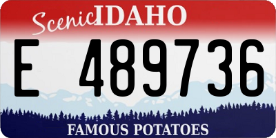 ID license plate E489736