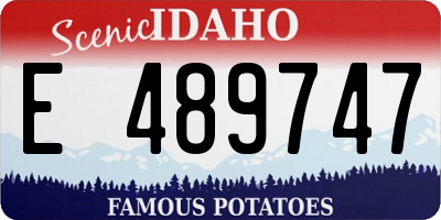 ID license plate E489747