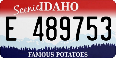 ID license plate E489753